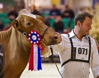 Royal Winter Fair
