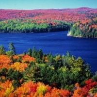 Cranberry Celebration in Muskoka