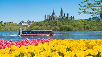 Ottawa in the Springtime 2025